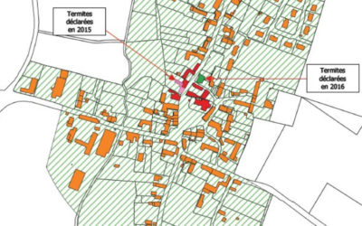 Termites sur la commune de Rouessé Fontaine