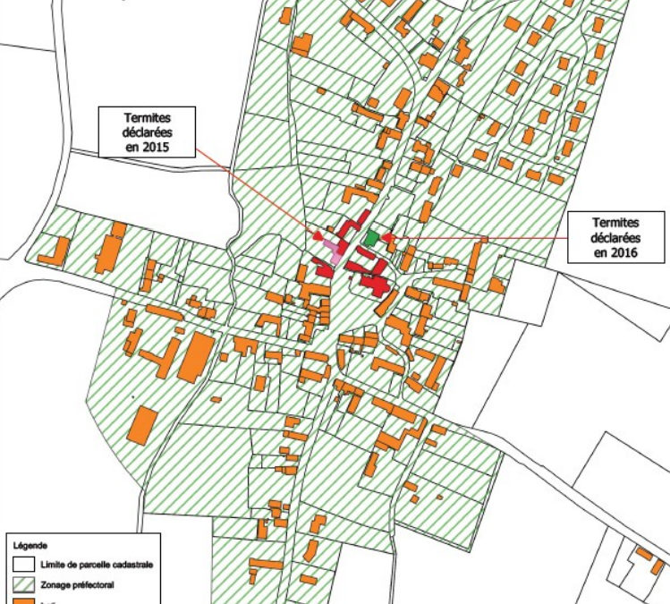 Termites sur la commune de Rouessé Fontaine