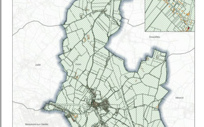 Termites sur la commune de VIVOIN