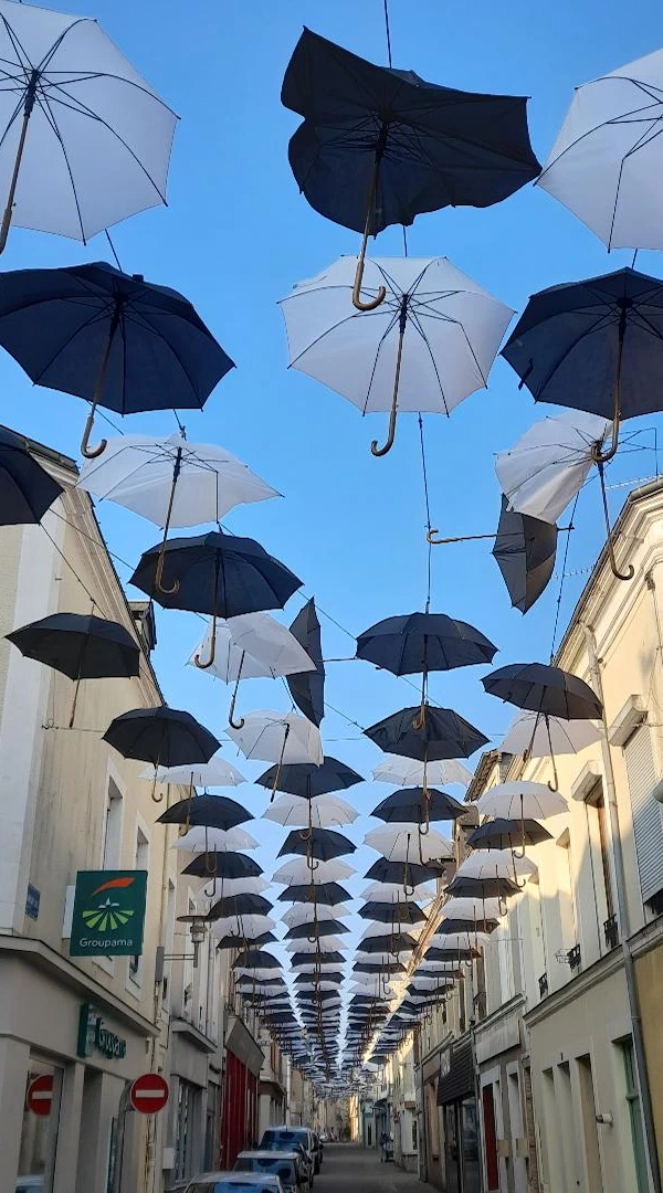 parapluies noir et blanc